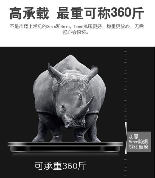 全面战争吕布派系特性是什么