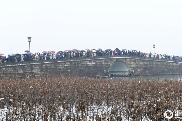 绿色地狱汤料有什么种类
