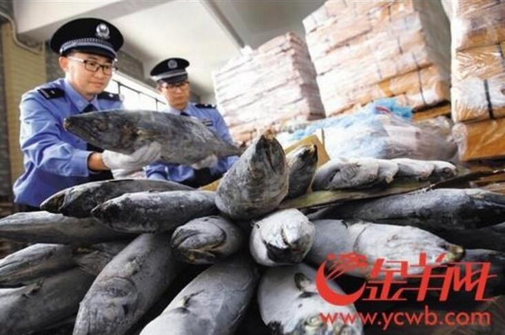 战地2042无人机为什么能站人